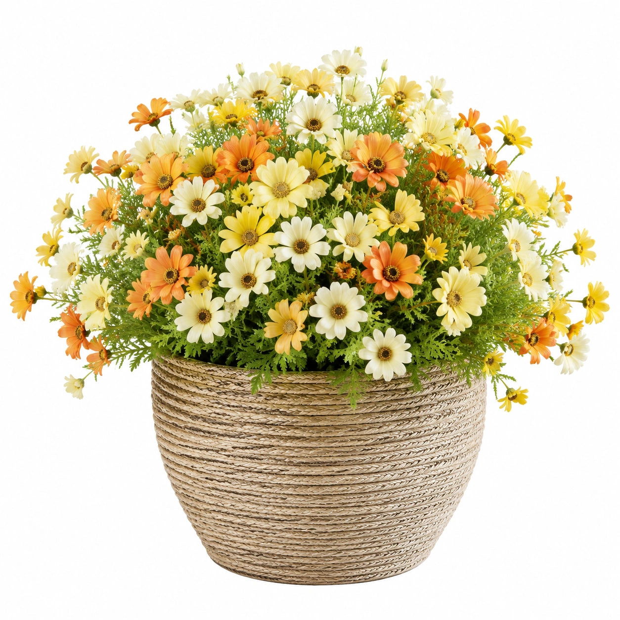 Pianta artificiale in vaso 55 cm fiori margherita multicolore cestino intrecciato decorativo