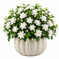 Pianta artificiale di gardenia 55 cm con vaso in ceramica bianco verde per decorazione interna