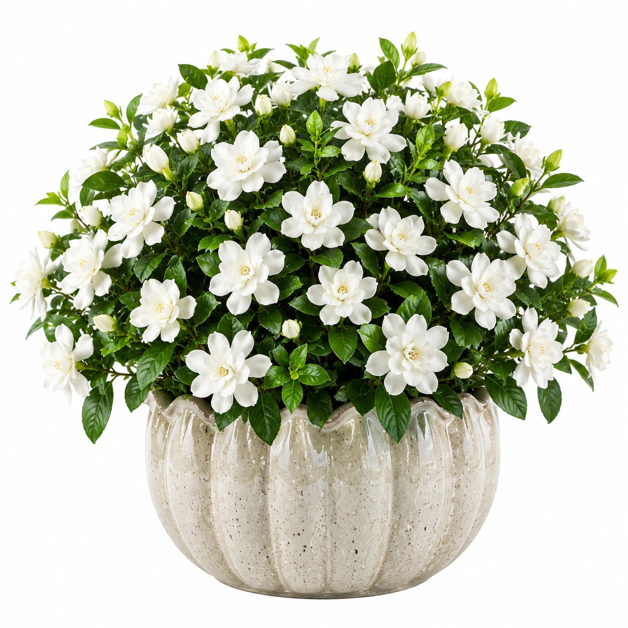 Pianta artificiale di gardenia 55 cm con vaso in ceramica bianco verde per decorazione interna