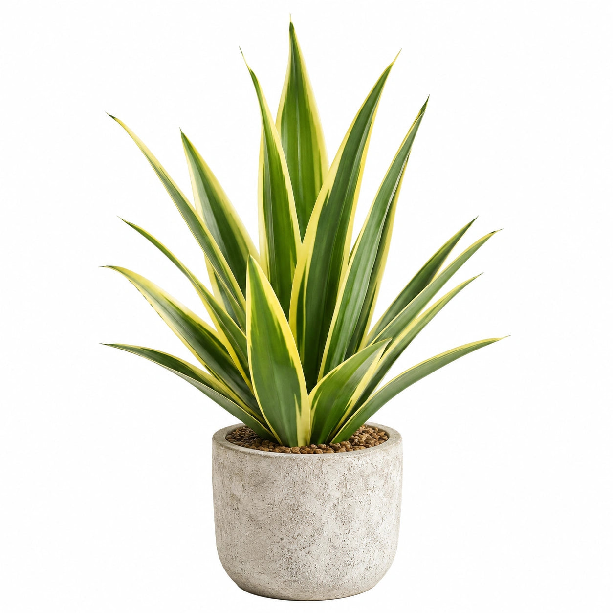 Pianta verde artificiale 85 cm in plastica verde/giallo con vaso in cemento - decorazione da interno