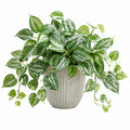 Pianta artificiale ricadente 65 cm in plastica verde e bianca con vaso in ceramica per interni