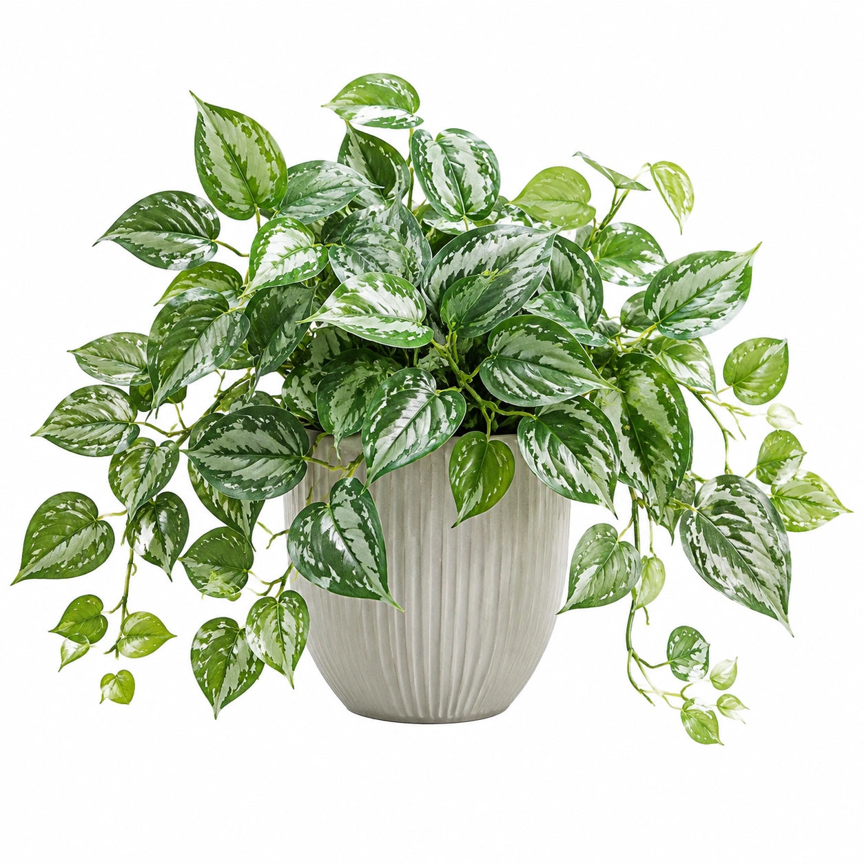 Pianta artificiale ricadente 65 cm in plastica verde e bianca con vaso in ceramica per interni