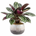 Pianta artificiale in vaso 75 cm foglie verdi e viola in plastica decorazione da interno